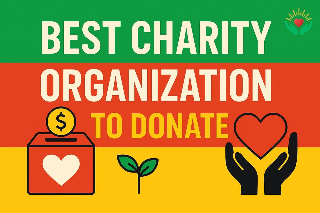 Best Charity Organizations to Donate To