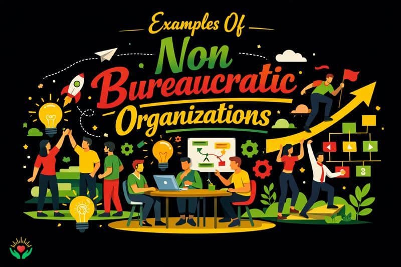 Examples Of Non Bureaucratic Organizations