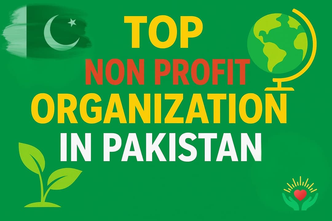 Top Non Profit Organization in Pakistan
